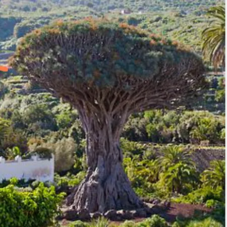Σπίτι διακοπών Casa Teide *