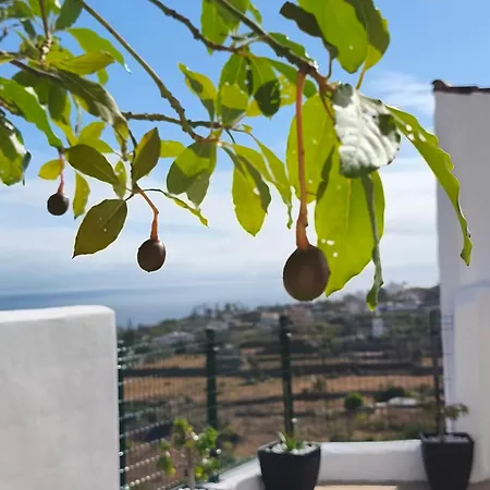 Casa Teide Σπίτι διακοπών